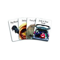 Screw You | Go Fish Style Adults Party Card Game | 2+ Players | from Little Genie