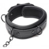 Collared Temptress | Collar with Nipple Clamps | from Master Series