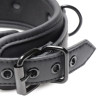 Collared Temptress | Collar with Nipple Clamps | from Master Series